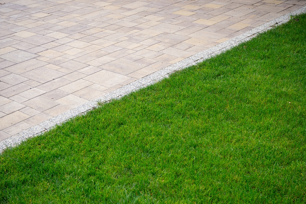 Bezuz-Landscaping-and-Design-Industrial-in-katy-texas-06
